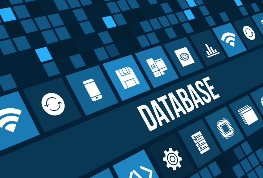  database records